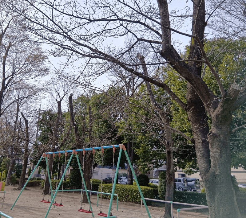 千間台第二公園の桜