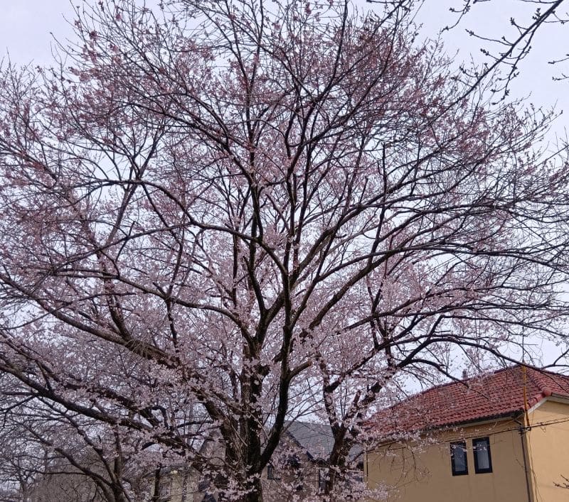 新方川-戸井橋～念佛橋