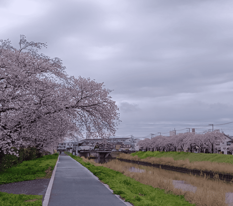 新方川-戸井橋～念佛橋